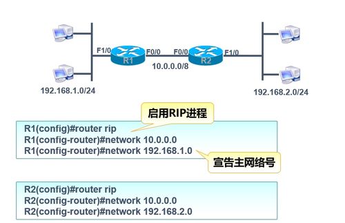 2021年12月 网络工程 动态路由rip